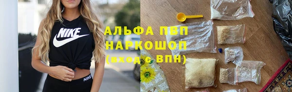 гашик Алексин