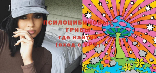 гашик Алексин