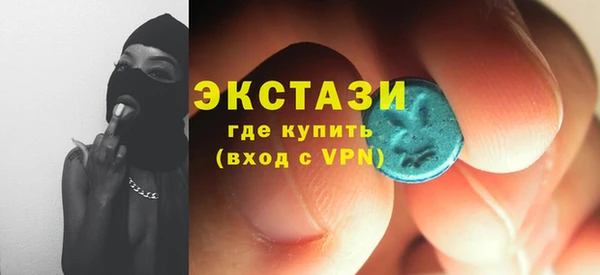 гашик Алексин