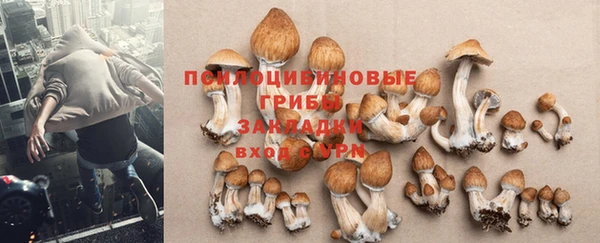 дурь Алзамай