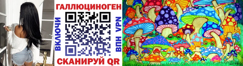Галлюциногенные грибы Psilocybe  купить наркотики сайты  Порхов 